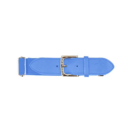 [DUN-BELT-ELA-CB-OSFA] Elastic Belts (OSFA, Columbia Blue)